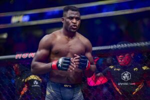 UFC ve MMA