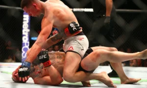 What Are the Differences Between UFC and MMA